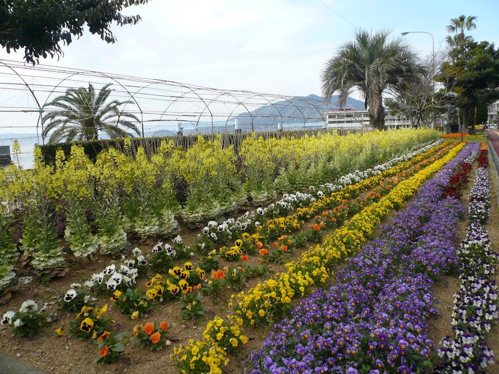 旅館 山田屋 雲仙市 エクステリア 写真